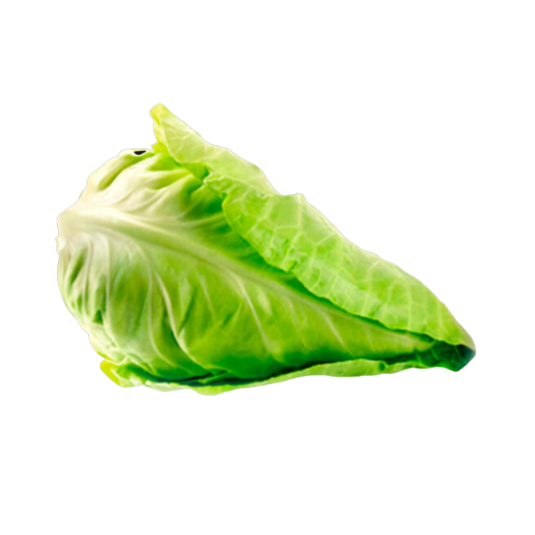 COL PICUDA | Sabores Almería
