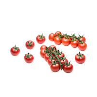 tomate cherry