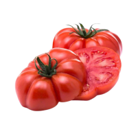 tomate rebelion