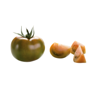 tomate verde liso