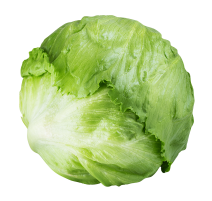 Lechuga Iceberg empresa Peregrin