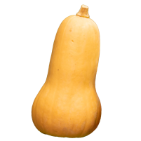 calabaza bio
