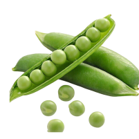 guisantes