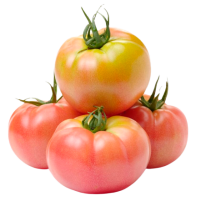 tomate