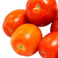 tomate