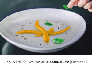 madrid fusion y sabores almeria 2025