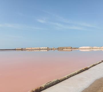 salinas