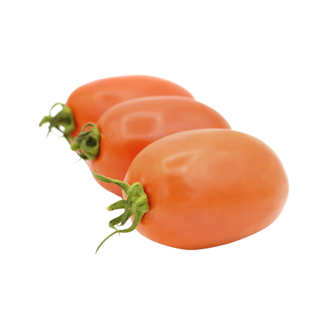 Tomate 