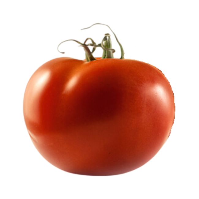 Tomate redondo clasico