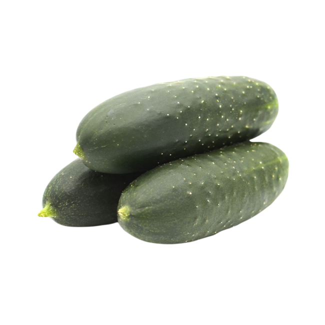 pepino español