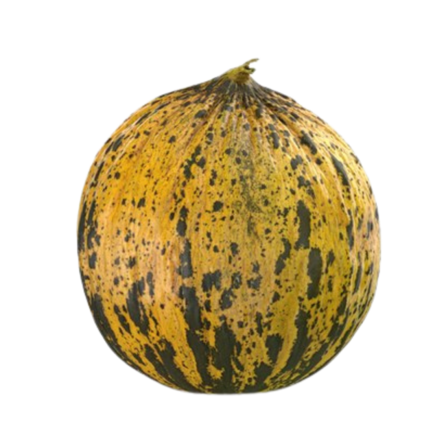 melonTurco