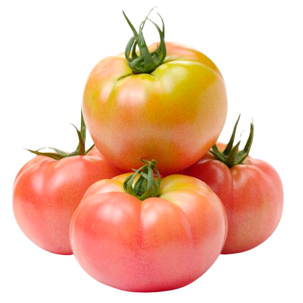 tomate
