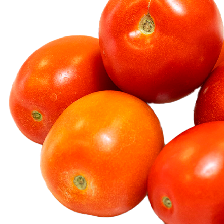 tomate